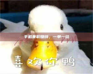 自贡手机兼职赚钱，一单一结 第1张