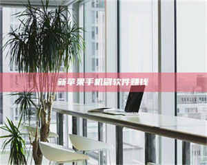 自贡新苹果手机刷软件赚钱 第1张